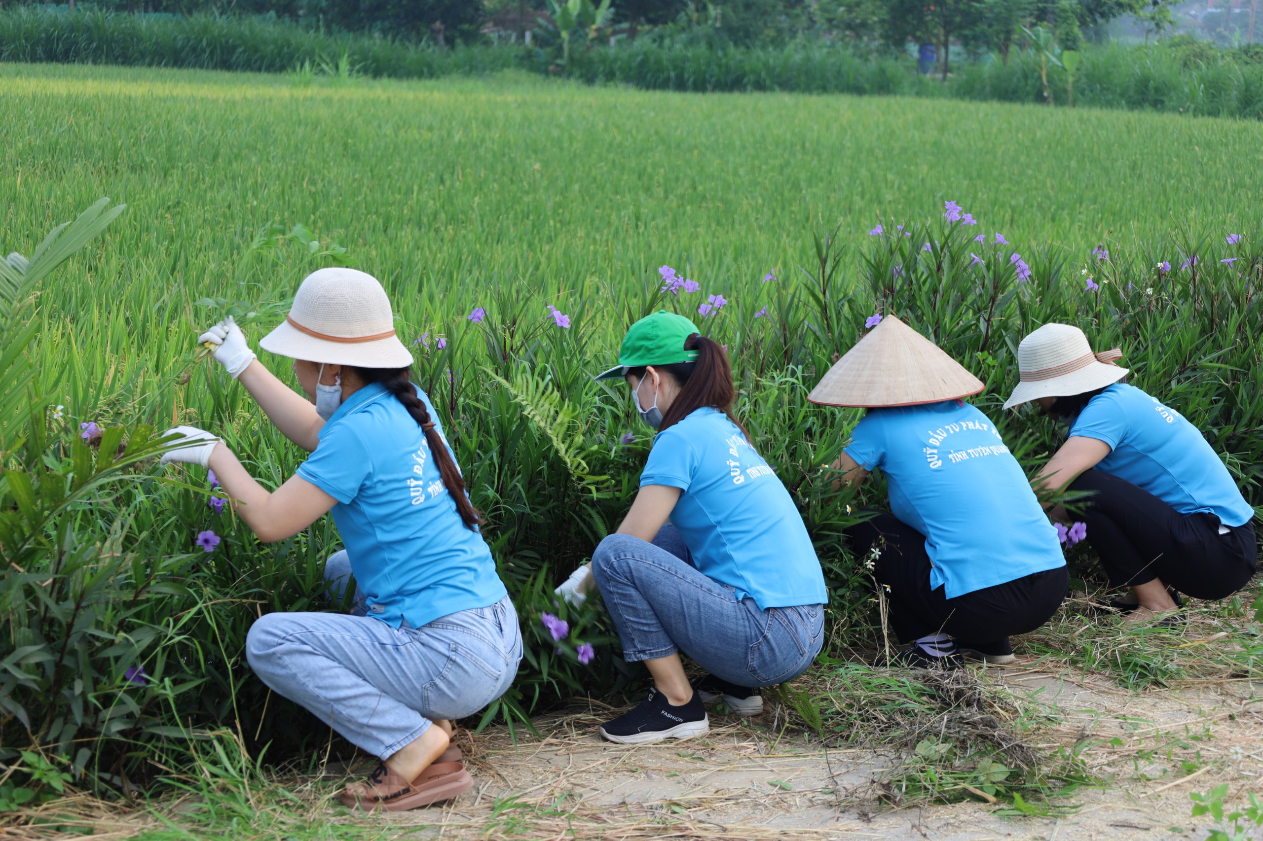 Cán bộ, đảng viên Quỹ Đầu tư phát triển tỉnh Tuyên Quang tham gia hoạt động với nhân dân theo Đề án số 02-ĐA/TU ngày 23/5/2021 của Ban Thường vụ Tỉnh ủy Tuyên Quang.